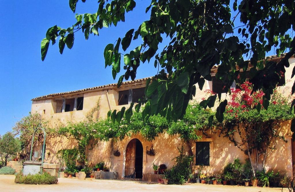 Son Josep De Baix Cales de Mallorca